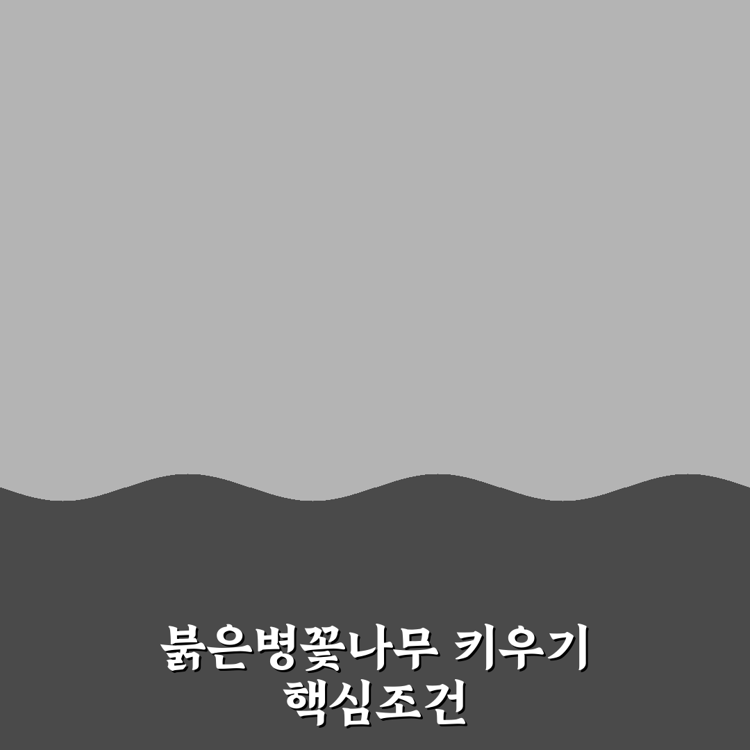 붉은병꽃나무 키우기 5가지 기준과 관리 체크포인트