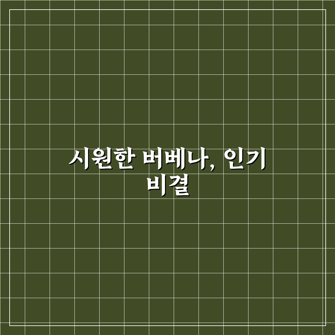 록시땅 버베나 샤워젤 효과와 향 비교 분석 가이드
