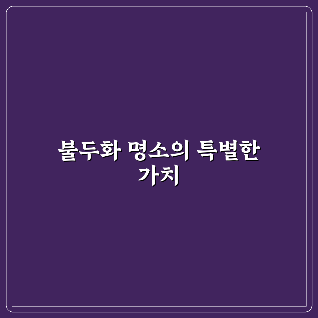 불두화 명소 추천과 방문 꿀팁 정리