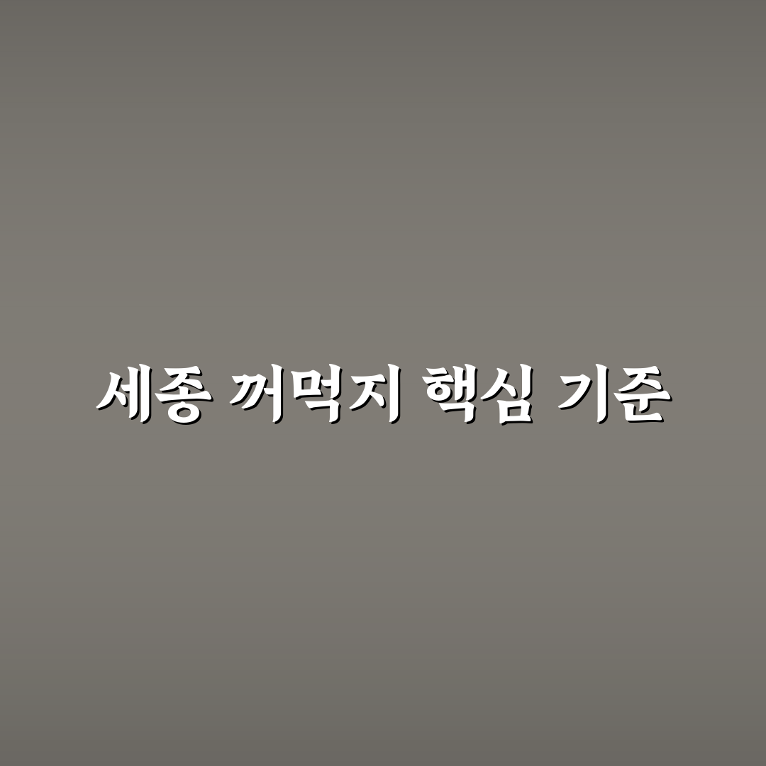 세종 꺼먹지 선택을 위한 5가지 비교 기준 총정리