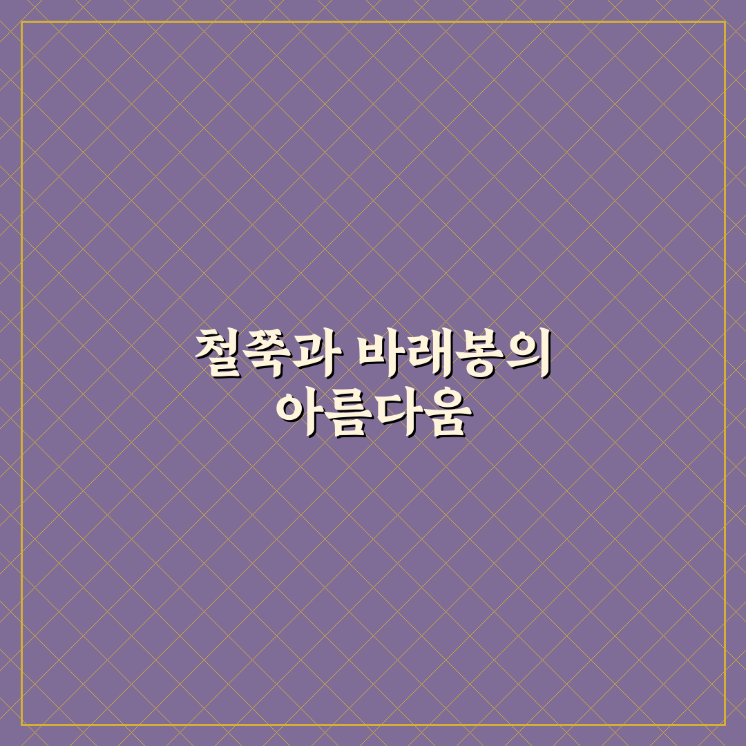 남원 바래봉 철쭉 시기와 명소 꿀팁 알려드려요
