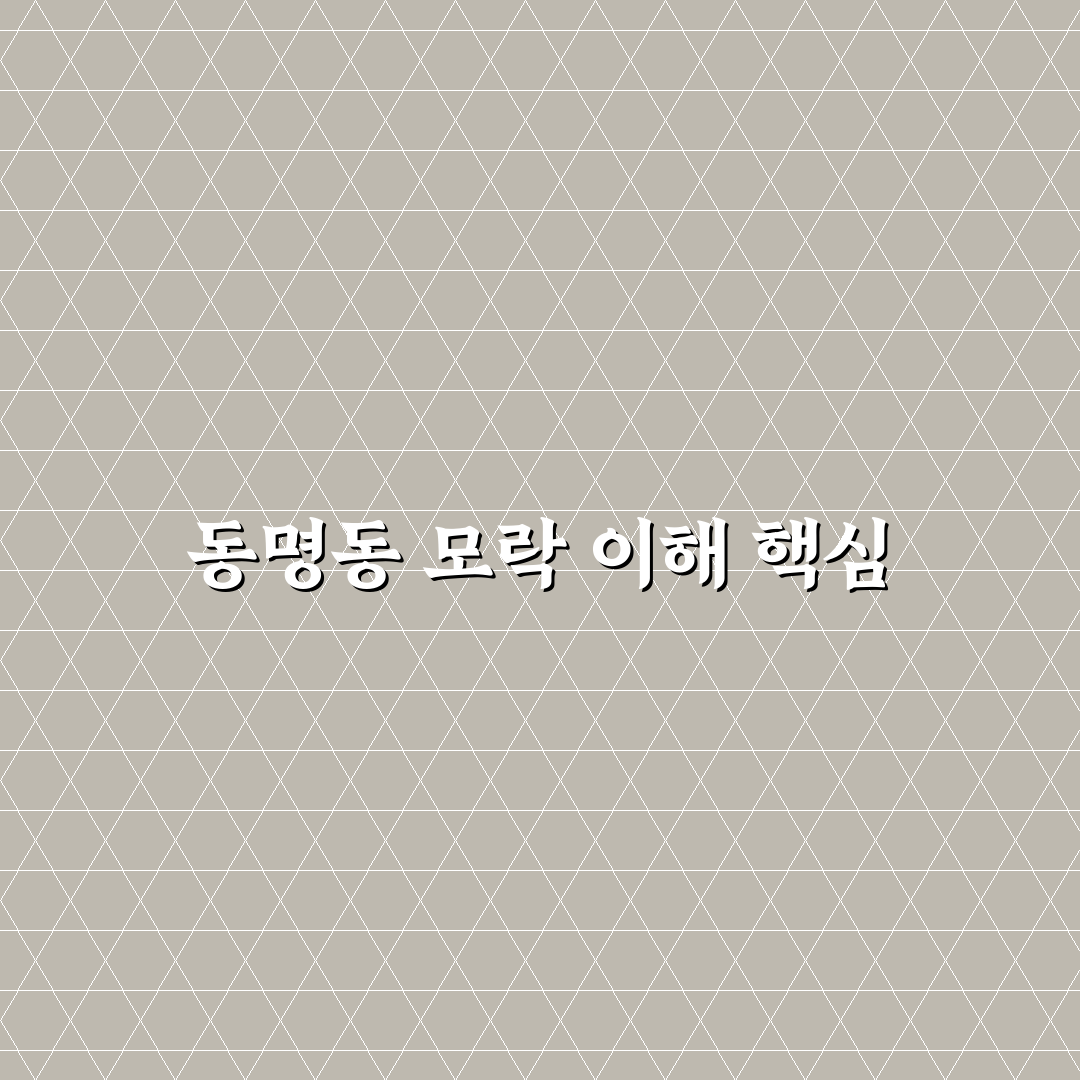 동명동 모락 비교와 분석을 통한 방문 가이드 5포인트