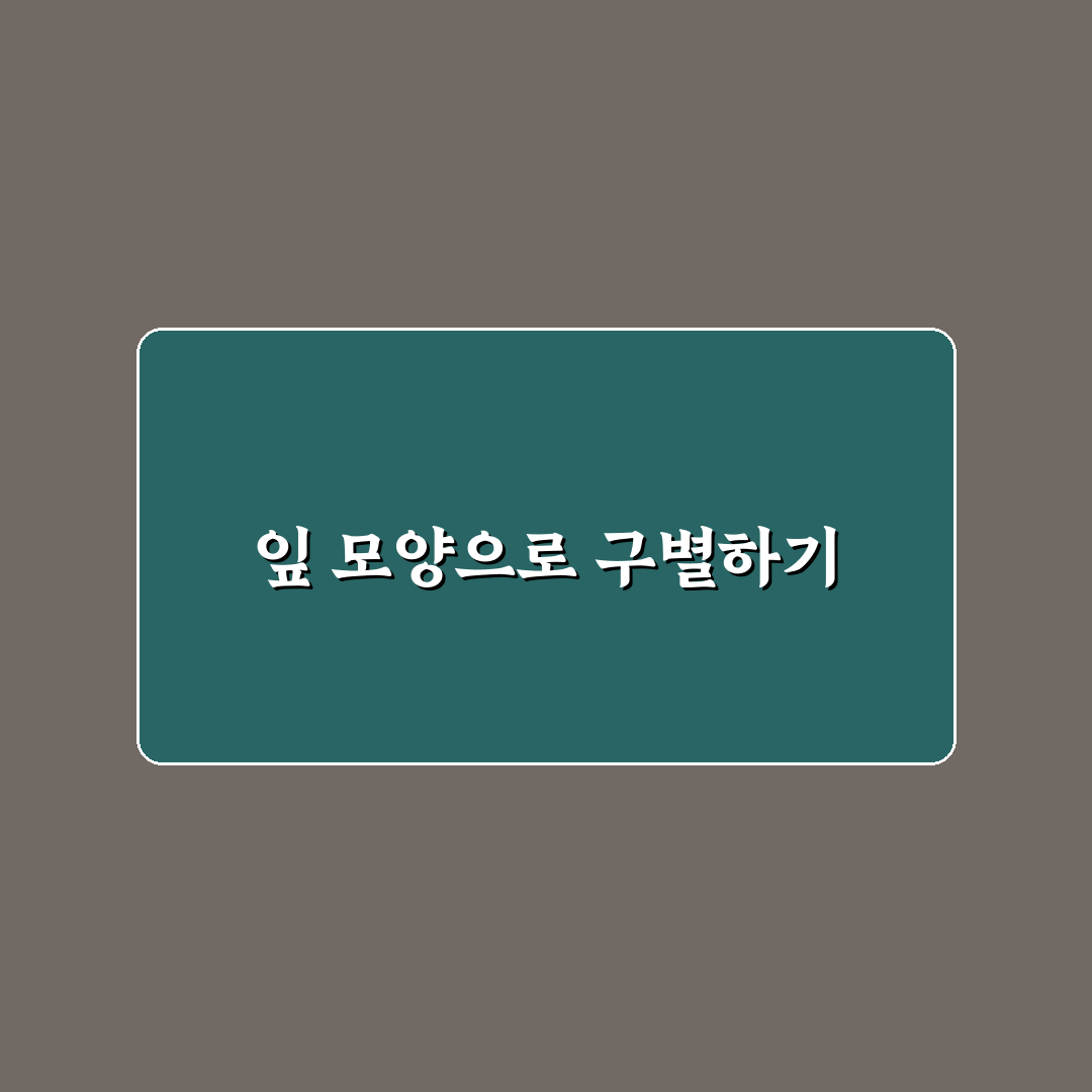 망초 개망초 차이 5가지 기준 비교와 분석 가이드