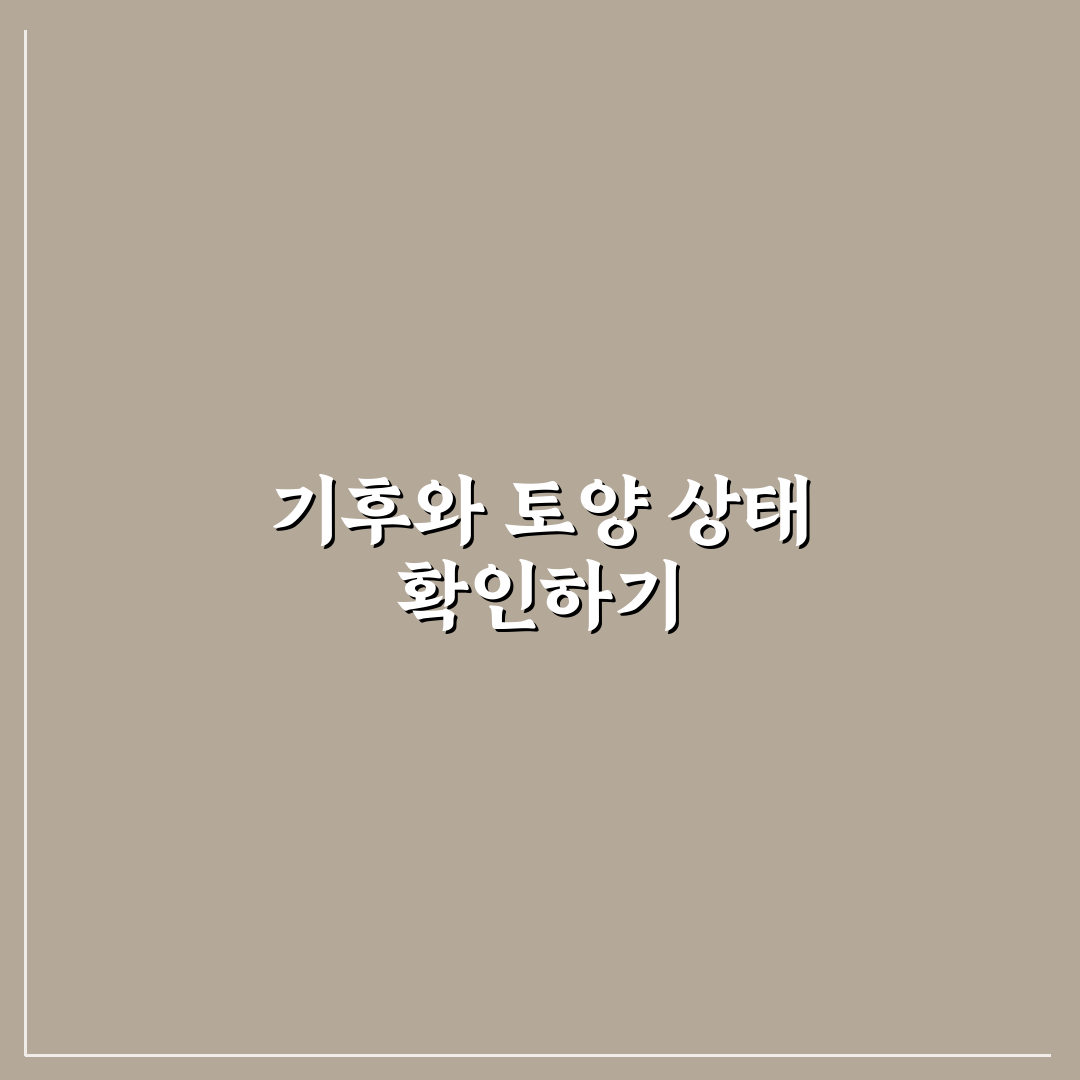 금계국 파종시기별 생장 조건과 성공 가이드 분석