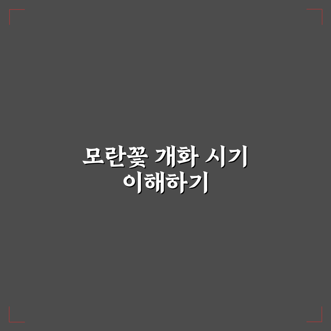 모란꽃 개화시기별 특징과 관리 기준 총정리