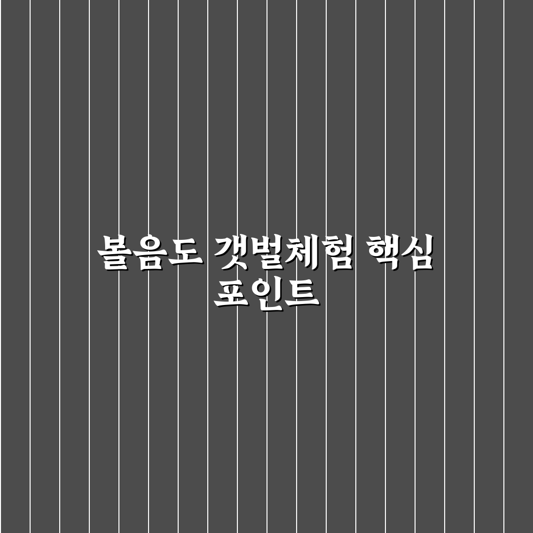 볼음도 갯벌체험 비교 분석과 선택 가이드 5가지 기준
