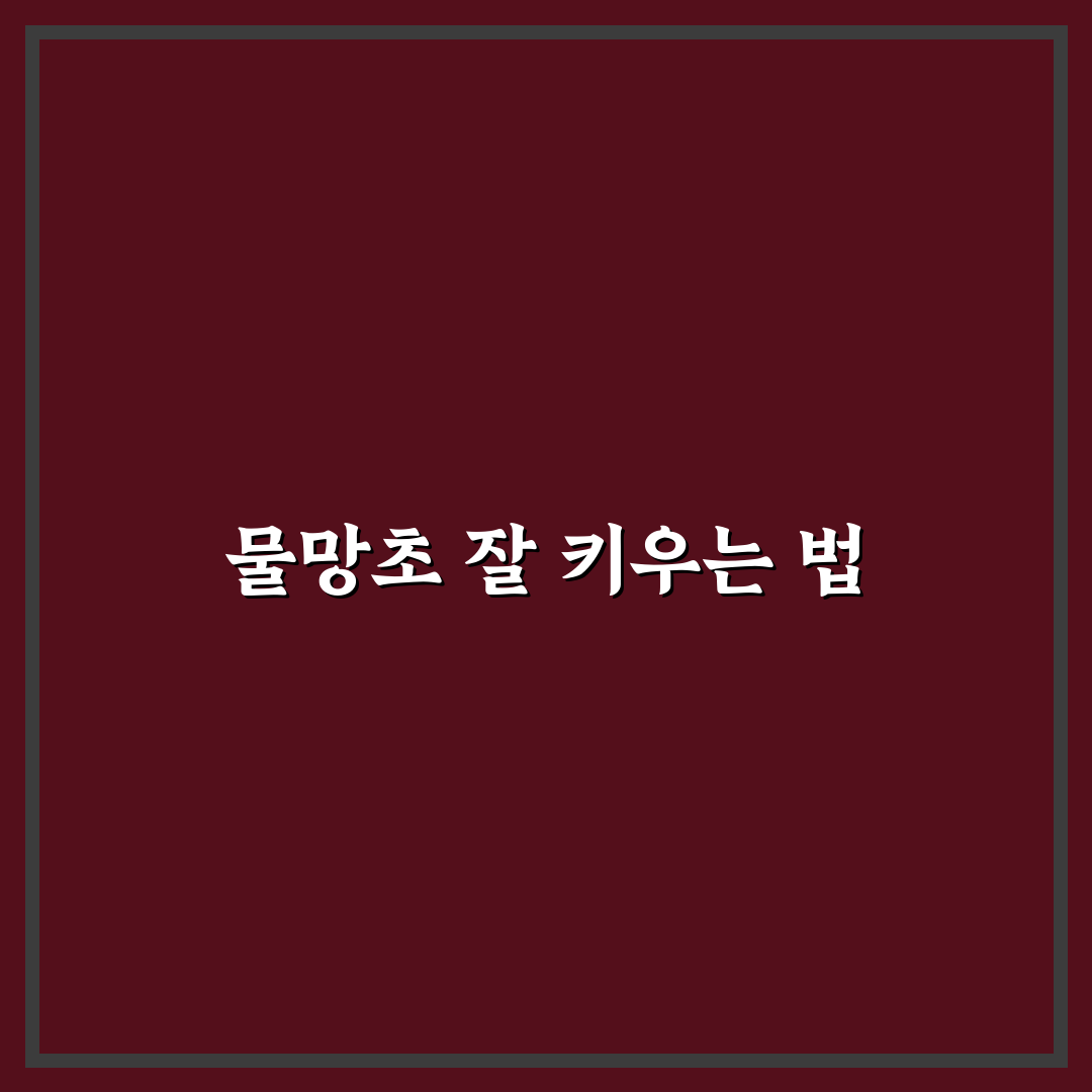 물망초 키우기 핵심 가이드와 관리 체크포인트 분석