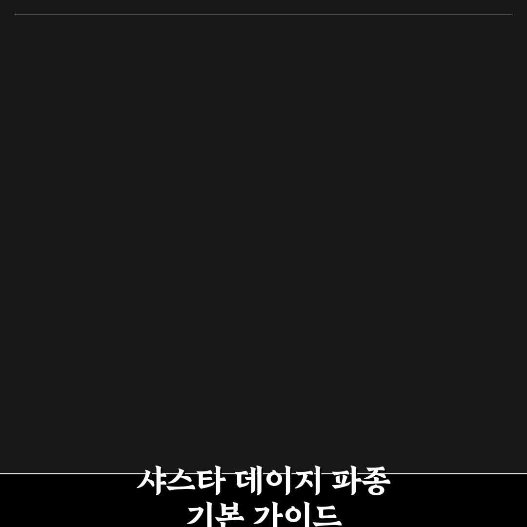 샤스타 데이지 파종 시기와 방법 5가지 기준 분석