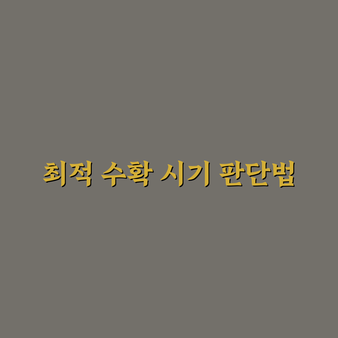 맥문동캐는시기 판단 위한 5가지 체크포인트 분석
