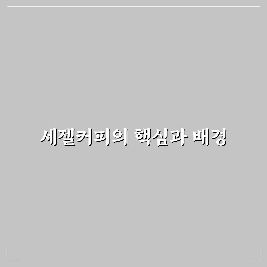 세젤커피 품질 비교와 선택 기준 5가지 총정리