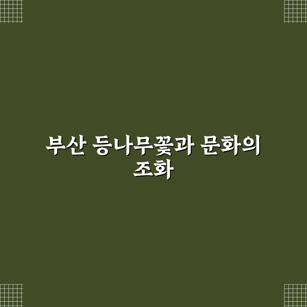 부산 등나무 꽃 개화 시기와 분포 비교 분석 가이드
