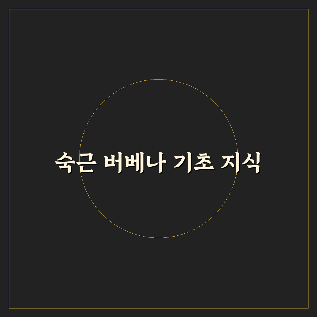 숙근 버베나 모종 심는 법과 관리 꿀팁 알려드려요