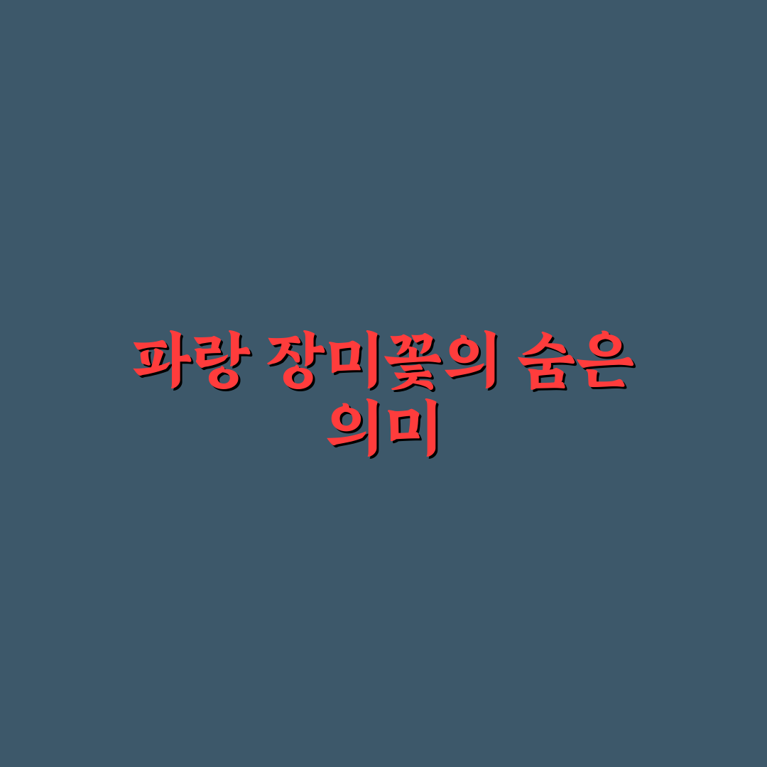 파랑 장미꽃 꽃말 5가지 의미와 상황별 해석 가이드