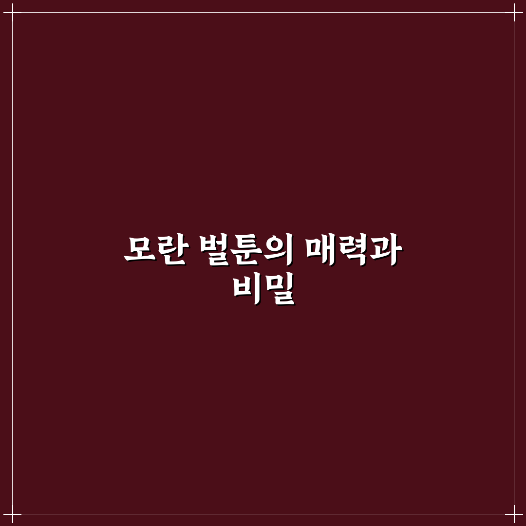 모란 벌툰 기본 사용법과 꿀팁 정리해드려요