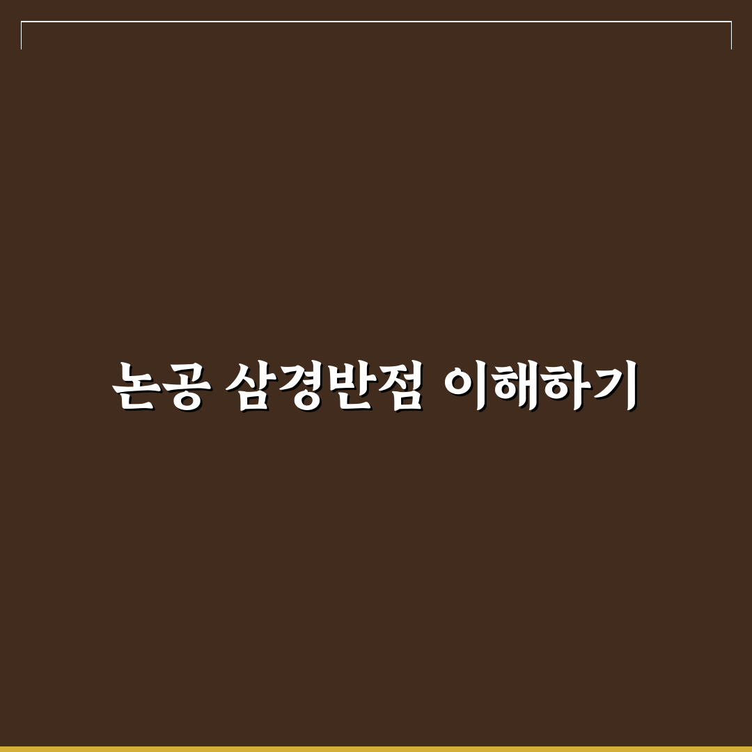 논공 삼경반점 비교와 판단을 위한 5가지 체크포인트