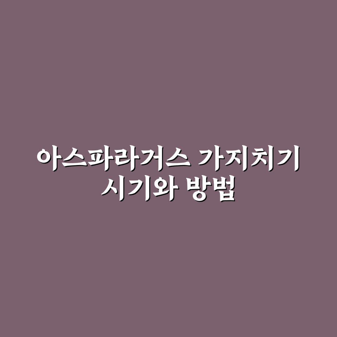 아스파라거스 메이리 가지치기 5가지 기준과 체크포인트 분석