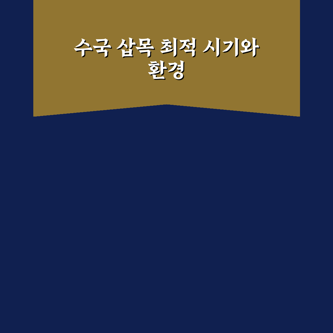 수국 삽목 4월 방법과 성공률 비교 총정리