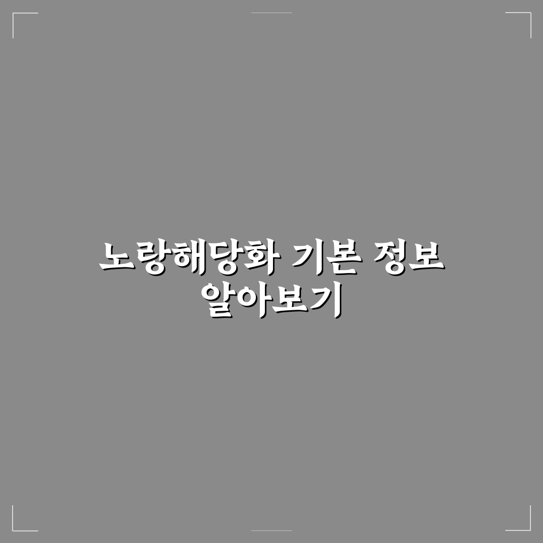 노랑해당화 판매 구매 꿀팁과 주의사항 알려드려요