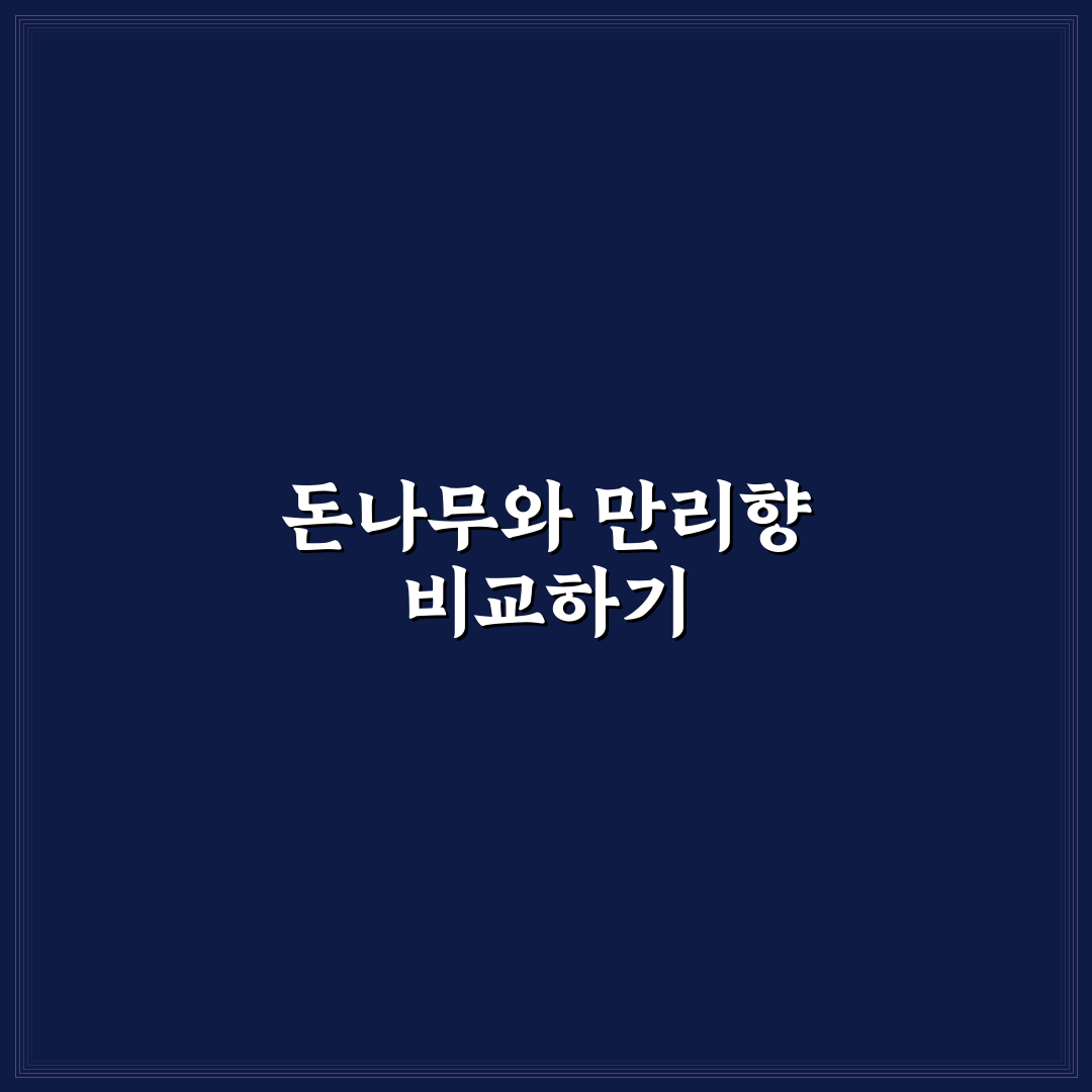 돈나무 만리향 차이와 특징 쉽게 알려드려요
