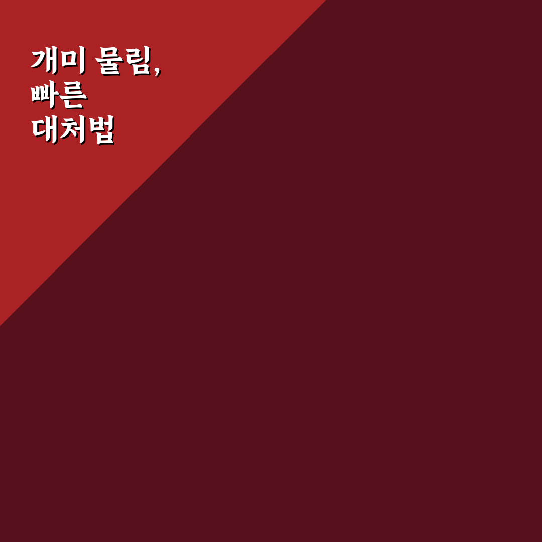 개미 물림 따가움 증상과 대처법 5가지 기준 분석