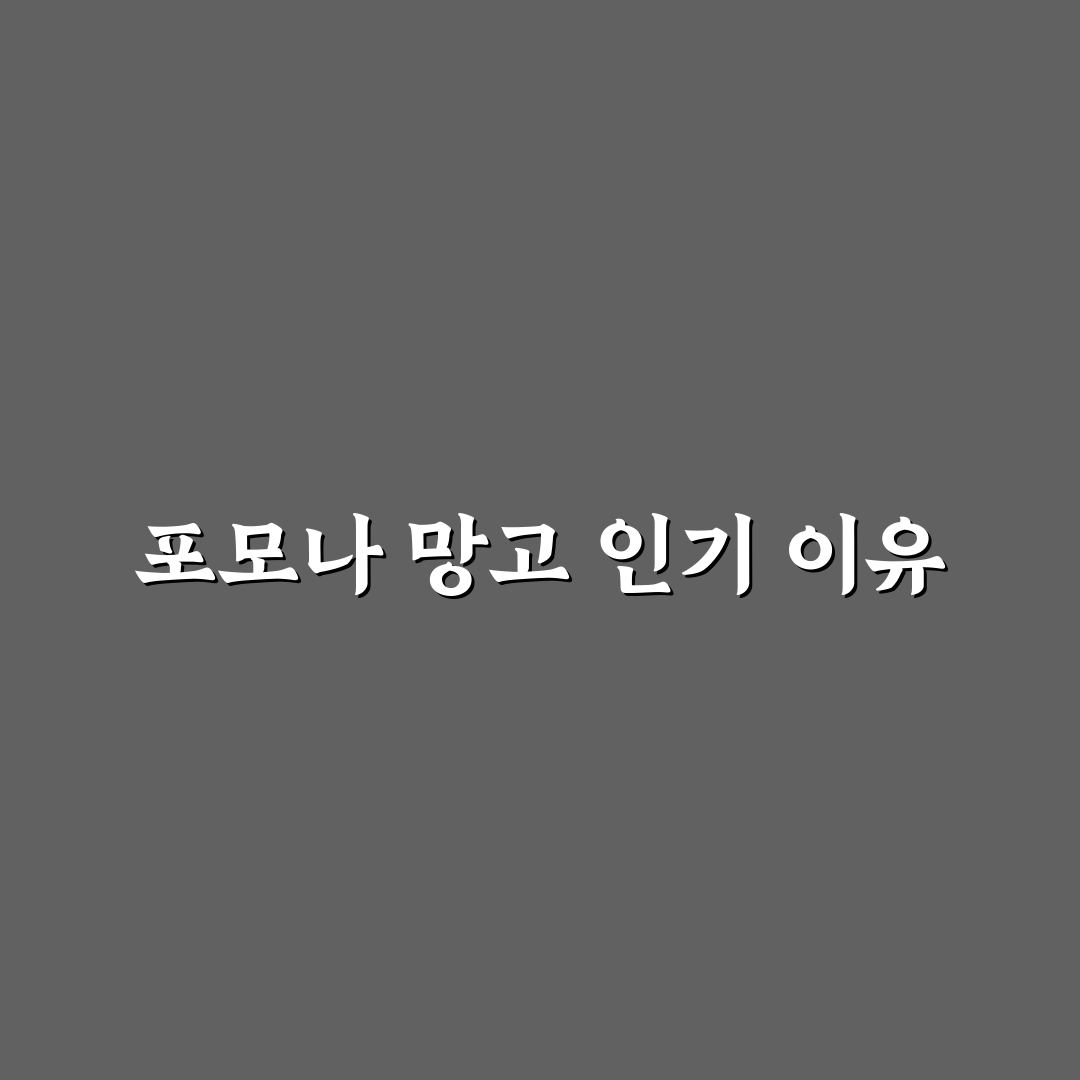 포모나 망고 품질 비교와 선별 가이드 5가지 기준