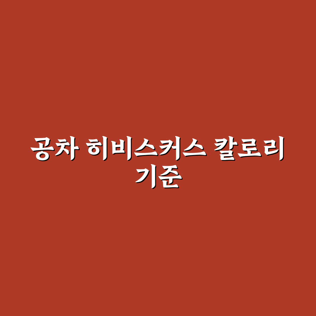 공차 히비스커스 칼로리 비교 및 3가지 체크포인트 분석
