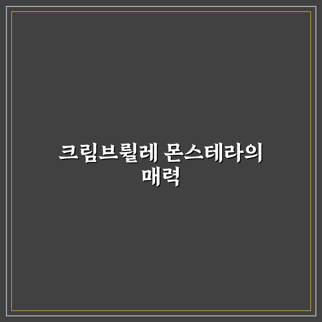 크림브륄레 몬스테라 관리 꿀팁과 키우는 방법 알려드려요