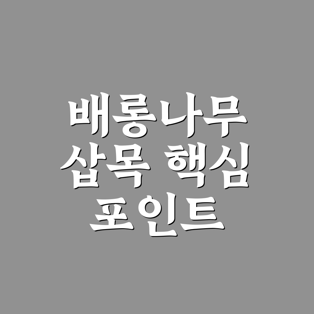 배롱나무 삽목 방법 5가지 기준과 성공률 비교 분석