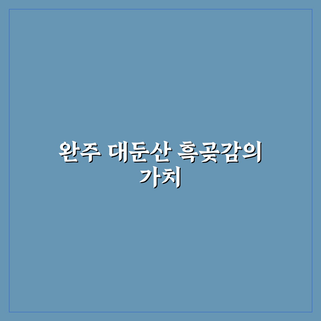 완주 대둔산 흑곶감 품질 비교와 구매 기준 5가지 분석