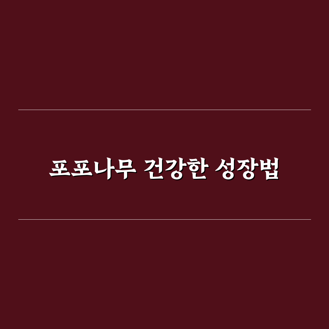 포포나무키우기 기본 방법과 꿀팁 공유하기