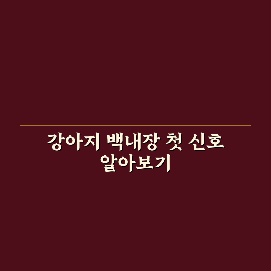 강아지 백내장 초기 증상과 관리 꿀팁 알려드려요