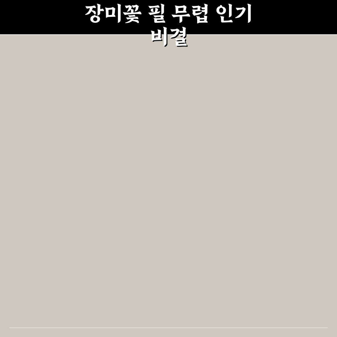 장미꽃 필 무렵 재방송 시청 가이드 및 편성 비교 분석