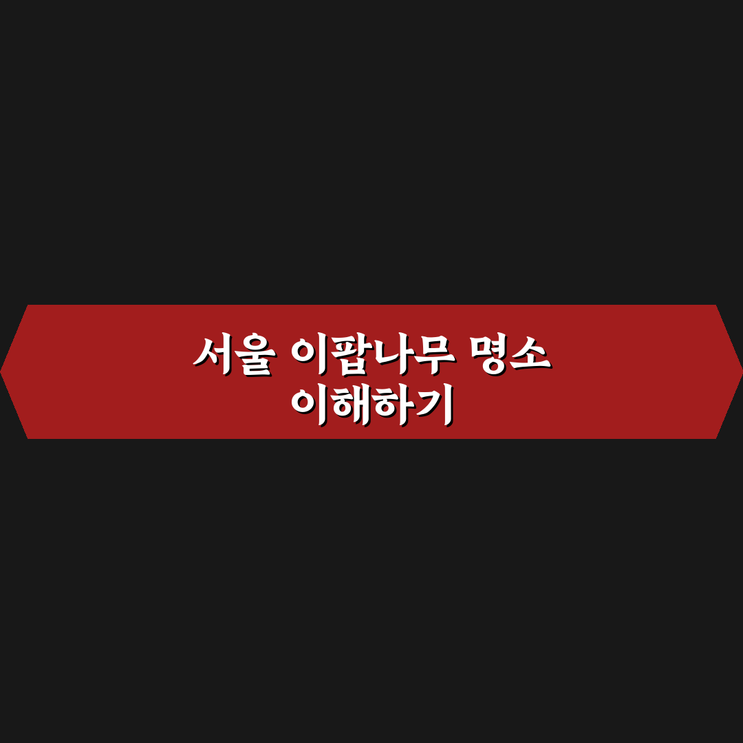 서울 이팝나무 명소 5가지 비교 및 방문 가이드