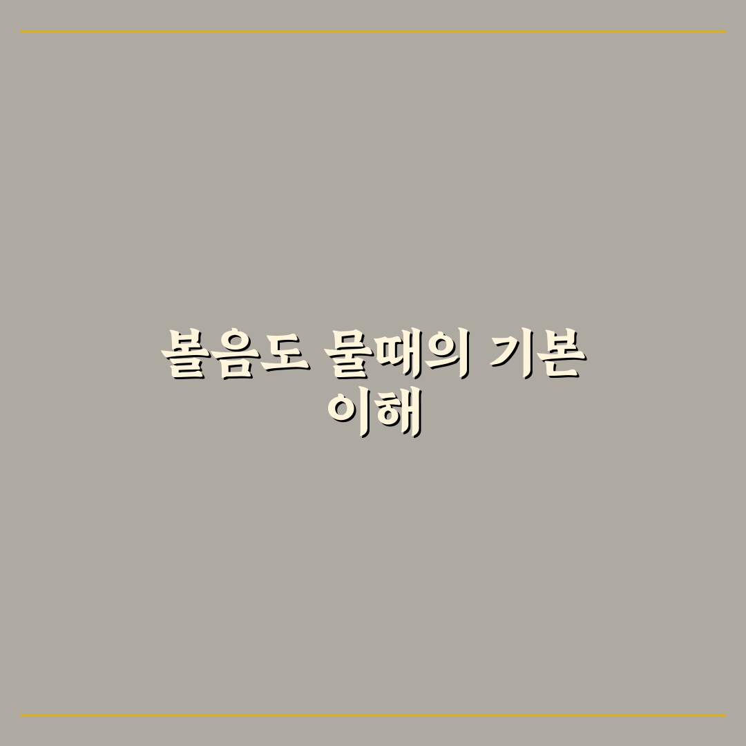 볼음도 물때 분석과 체류 시점별 체크포인트 총정리