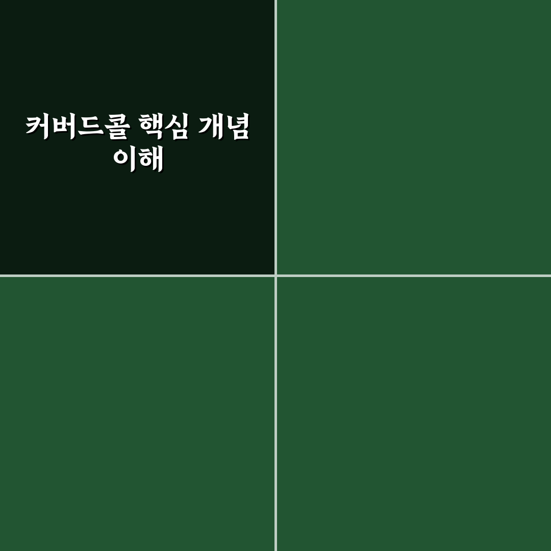 커버드콜 하는 방법 5가지 기준과 체크포인트 총정리