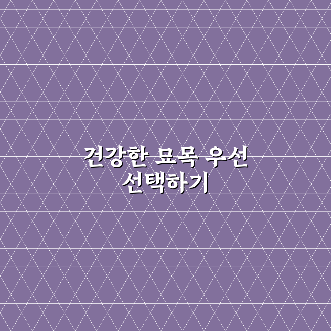 예덕나무 묘목 선택 시 꼭 확인할 5가지 기준 분석