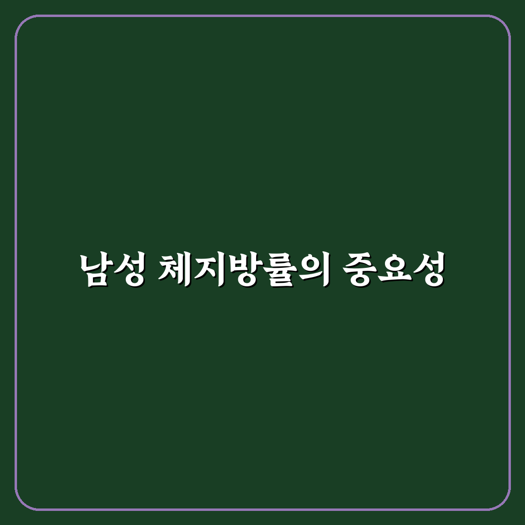 남자 체지방률 평균과 건강 기준 5가지 분석 가이드