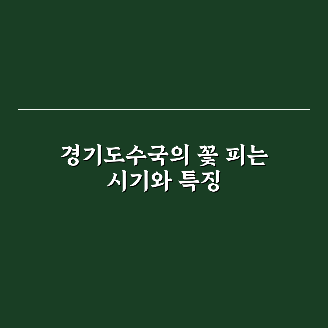 경기도수국 개화시기와 맞춤형 관리법 알려드려요