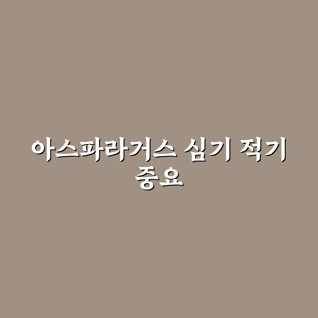 아스파라거스 심는시기 추천과 초보자 꿀팁 정리
