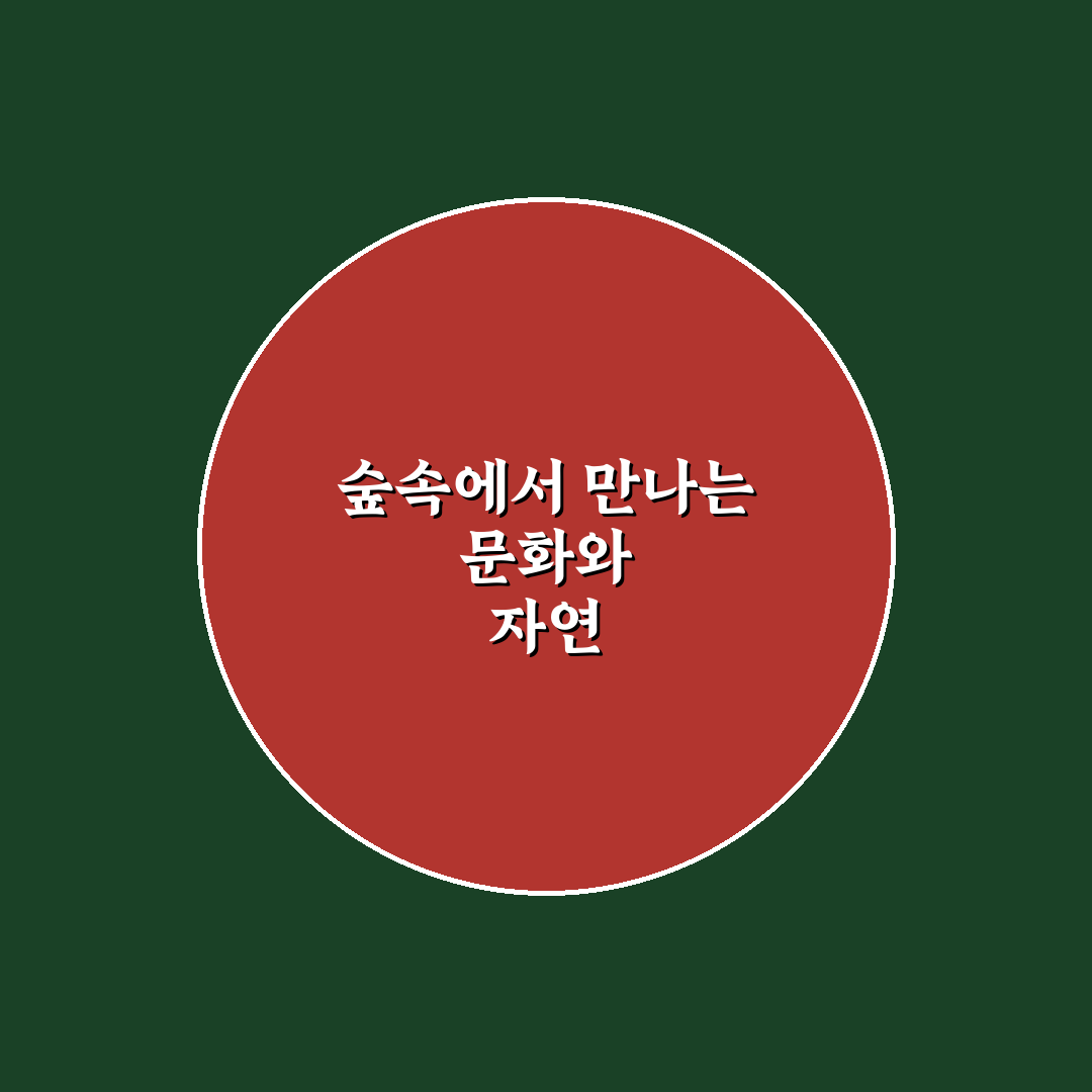 어린이대공원 숲속의무대 시설과 프로그램 비교 분석 가이드