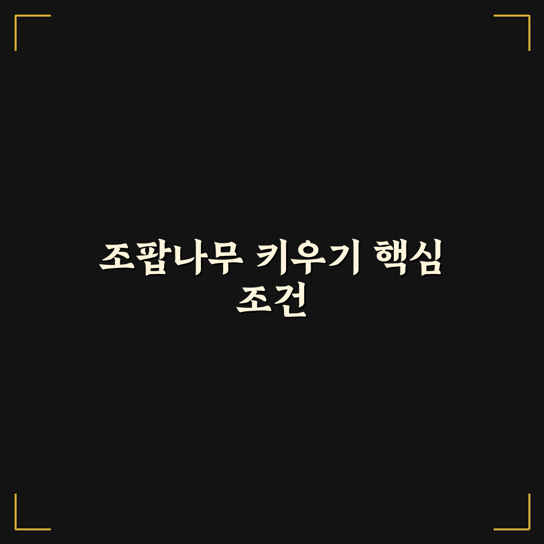 조팝나무 키우는 법 5가지 체크포인트 비교 분석
