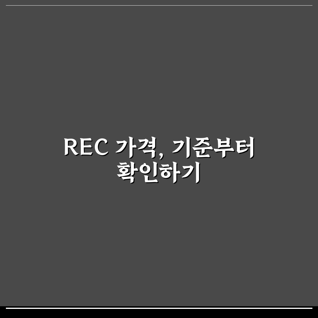 rec 가격 조회 비교와 분석을 통한 합리적 구매 기준 총정리