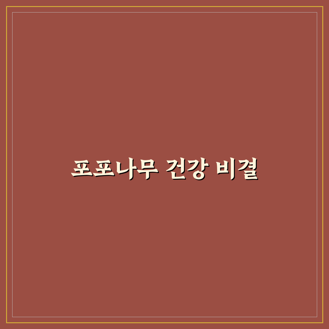 포포나무효능과 활용법 초보자도 쉽게 알려드려요