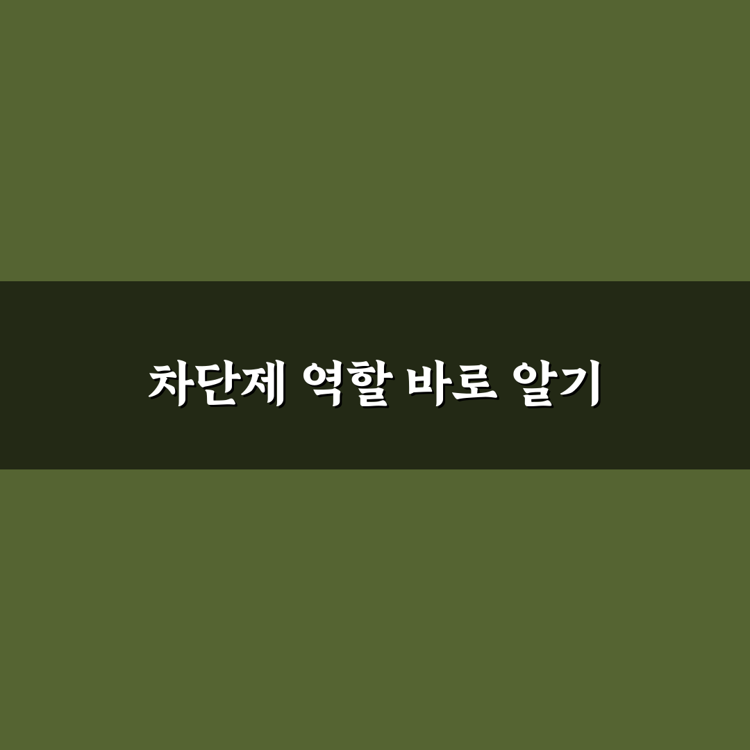 이명회로차단제 5가지 성분별 효과와 선택 기준 비교 분석