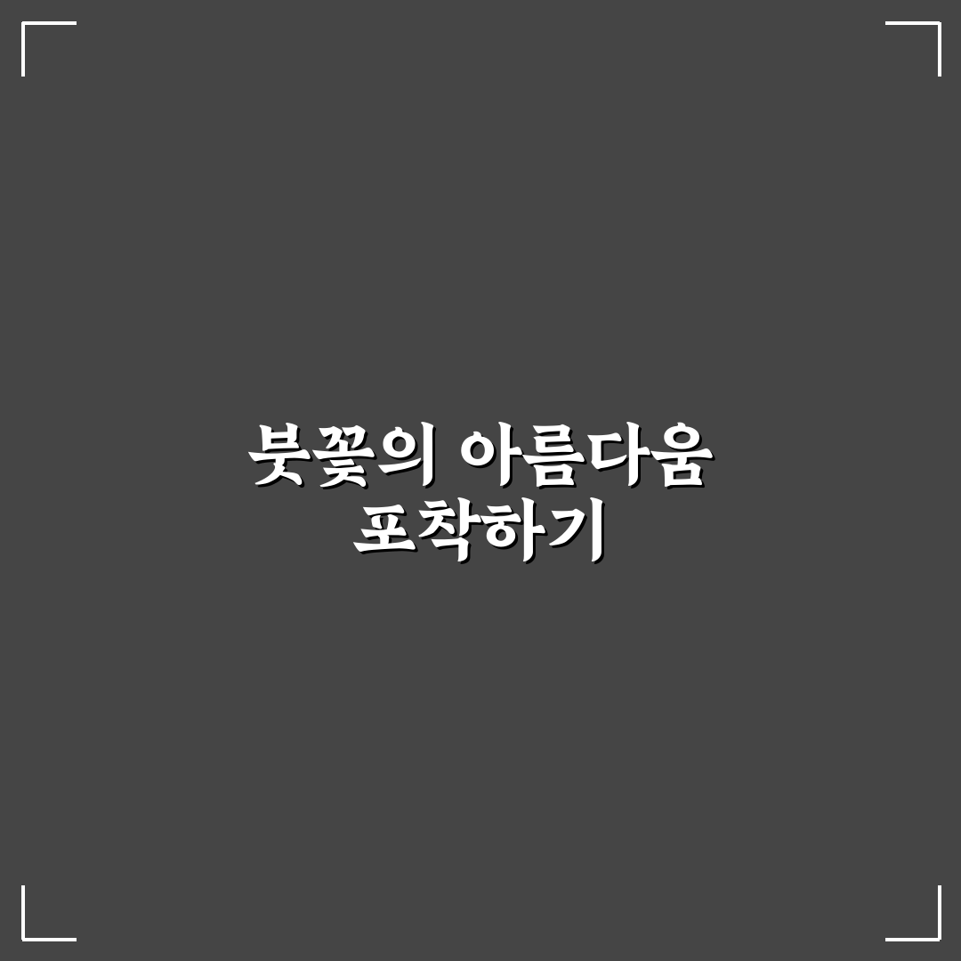 붓꽃 포토 촬영 가이드와 5가지 촬영 기준 분석