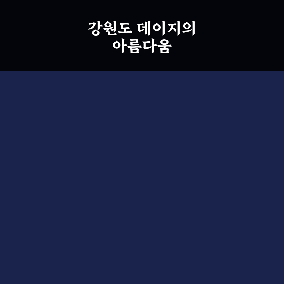 강원도 데이지 꽃밭 방문 전 체크포인트 5가지 분석