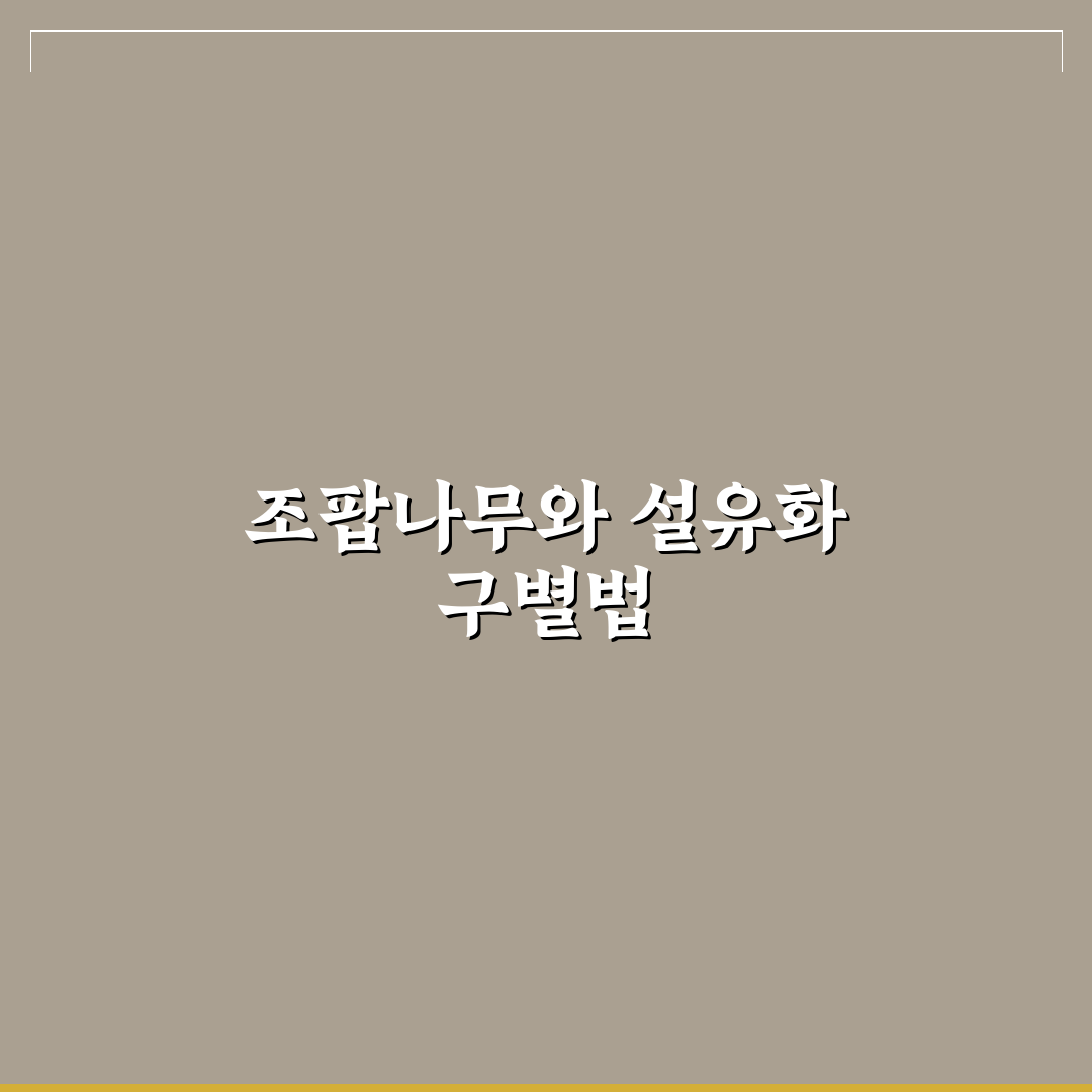 조팝나무 설유화 차이 5가지 기준별 비교와 분석