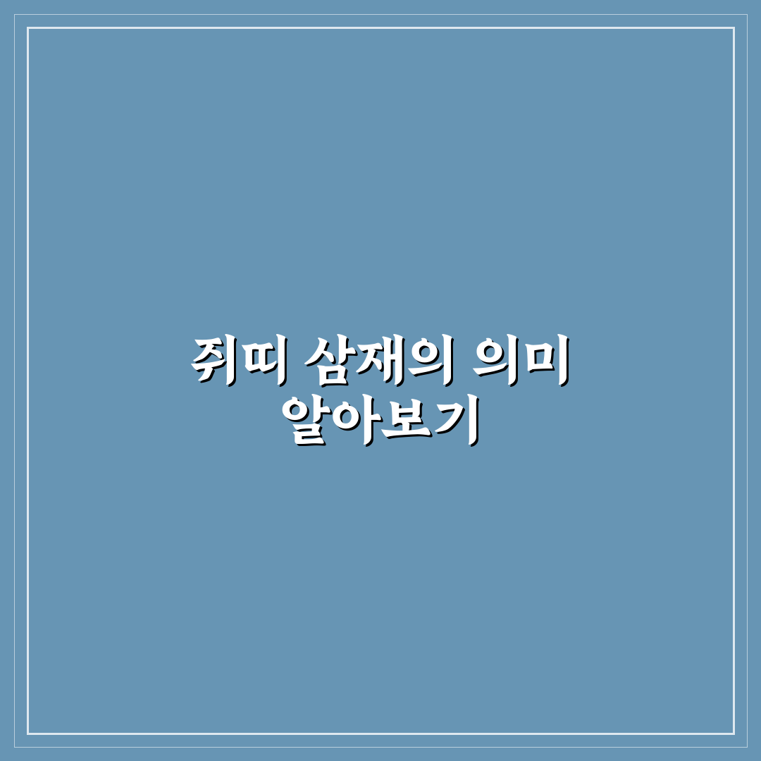 쥐띠 삼재 년도별 특징과 대비책 총정리