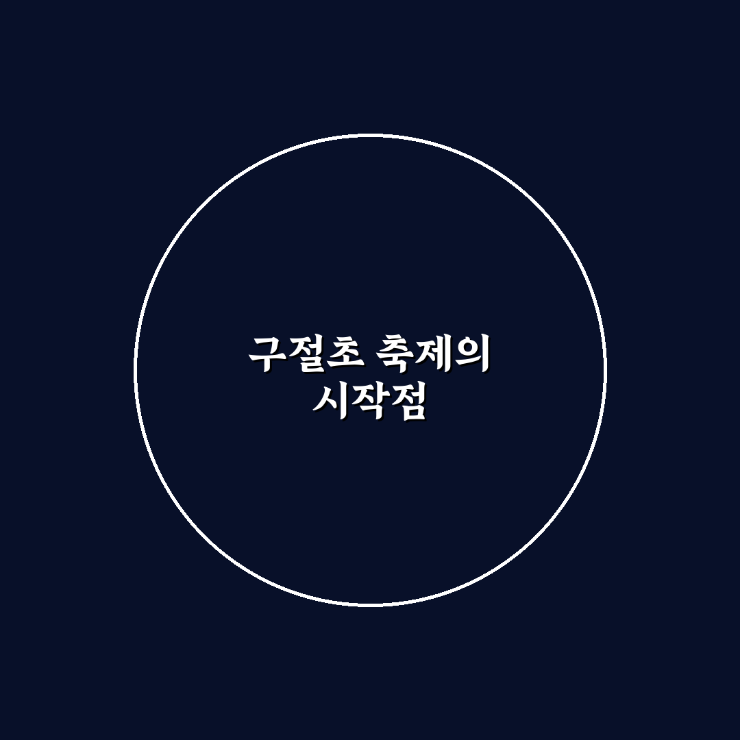 정읍 구절초 축제 일정 5가지 기준별 총정리와 체크포인트