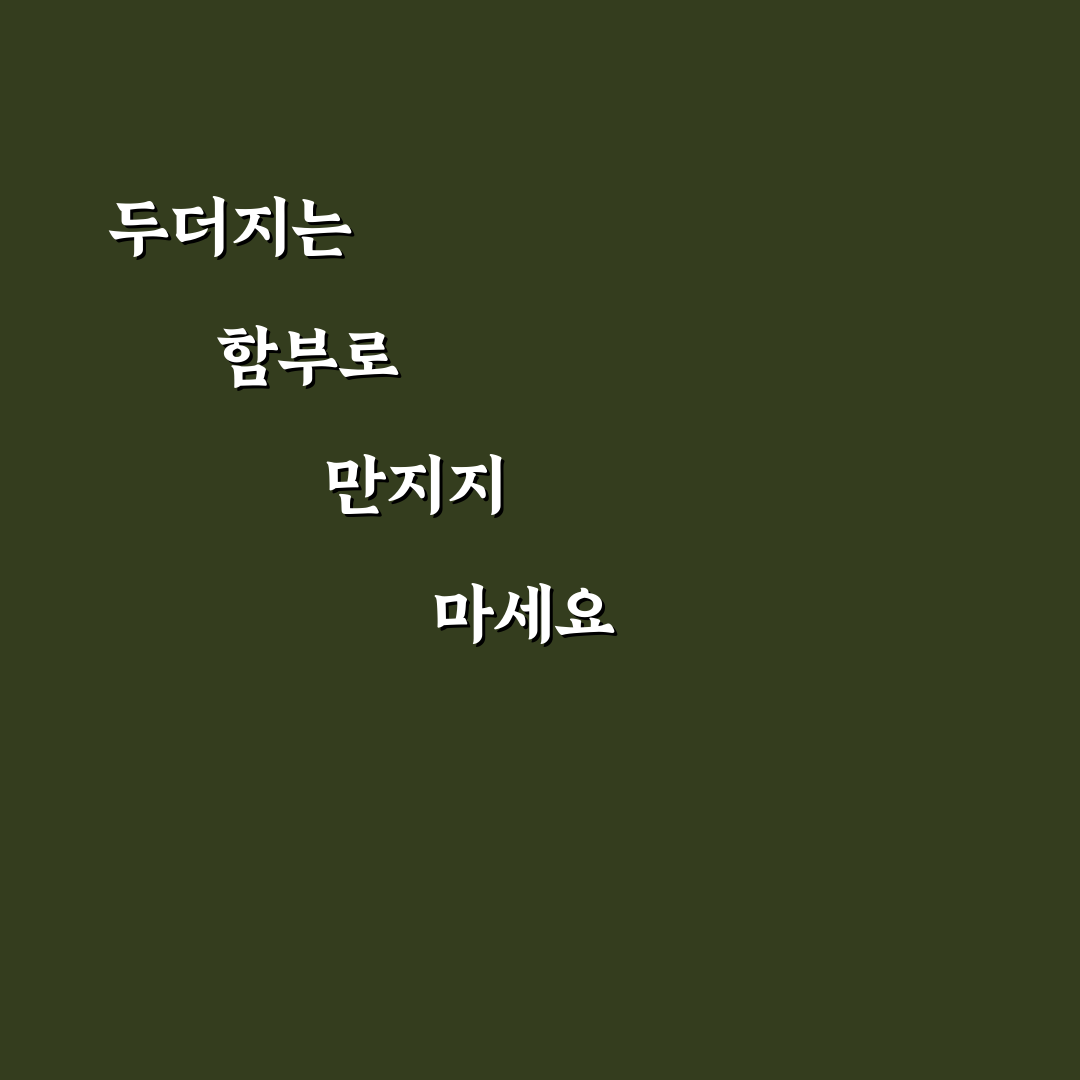 두더지 만지지 마라 행동 이유와 위험성 5가지 기준 분석